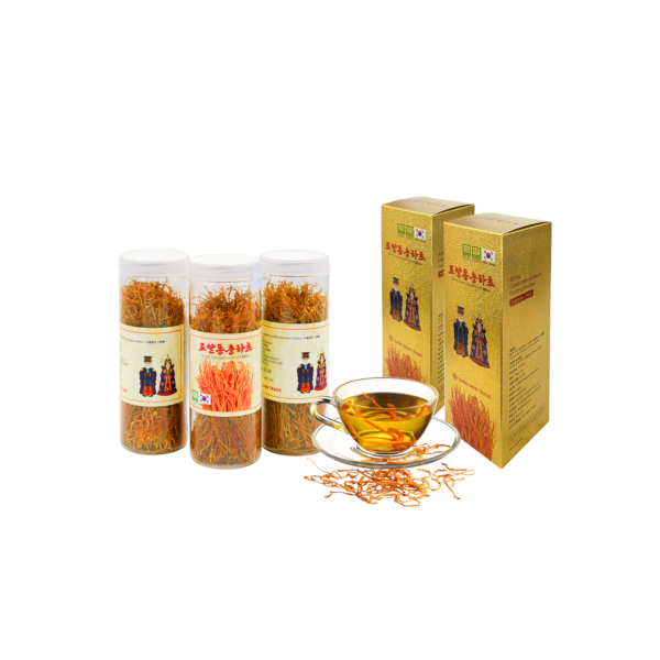 Nấm Đông Trùng Hạ Thảo Sấy Khô (100g)