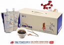 Hồng Sâm Hoàng Đế